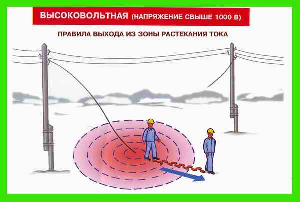 Обертывание с медом и корицей в домашних Обертывание с медом и корицей в домашних